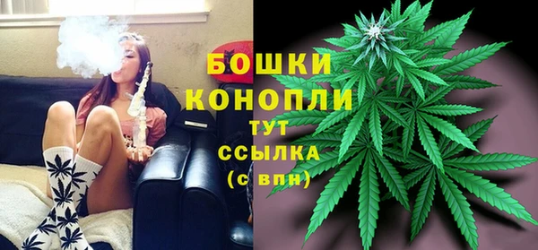 сатива Баксан