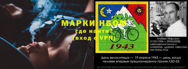 сатива Баксан